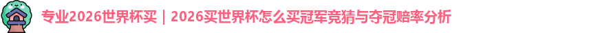 2026世界杯买